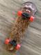 Jeremy Fish WEIRD BEARD CRUZER Santa Cruz hairy skateboard loser cruzer