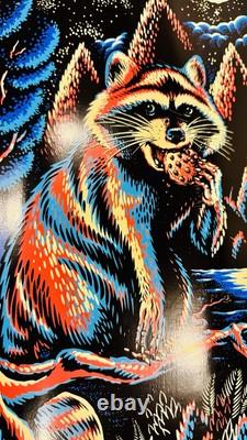Santa Cruz Erick Winkowski Trash Panda Skateboard Skate Deck Unused w Scuffs
