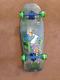 Santa cruz skateboard